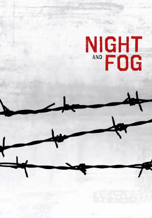 night-and-fog-55bc00bd30212.jpg